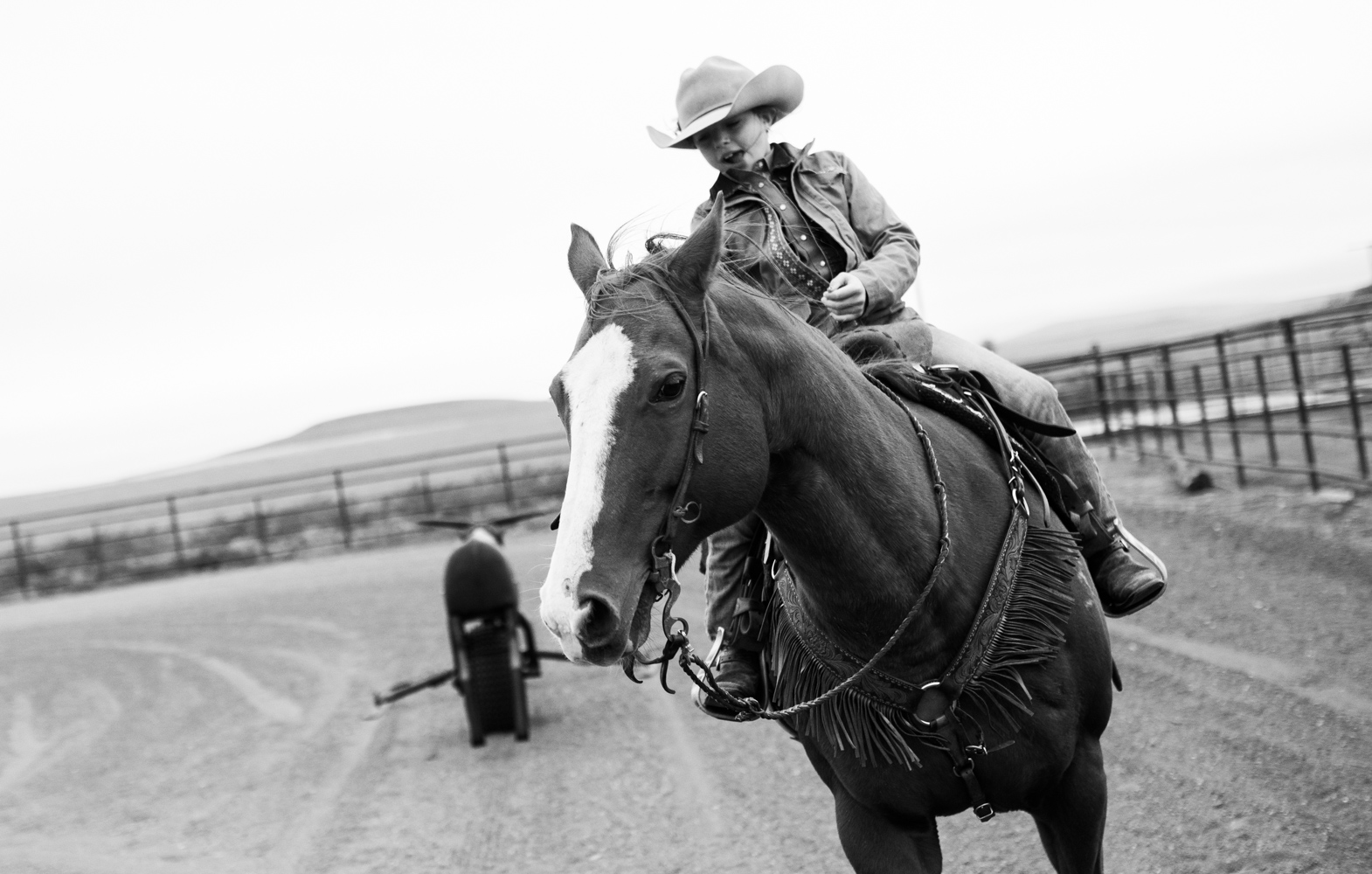 _F4A7167_bw.JPG
